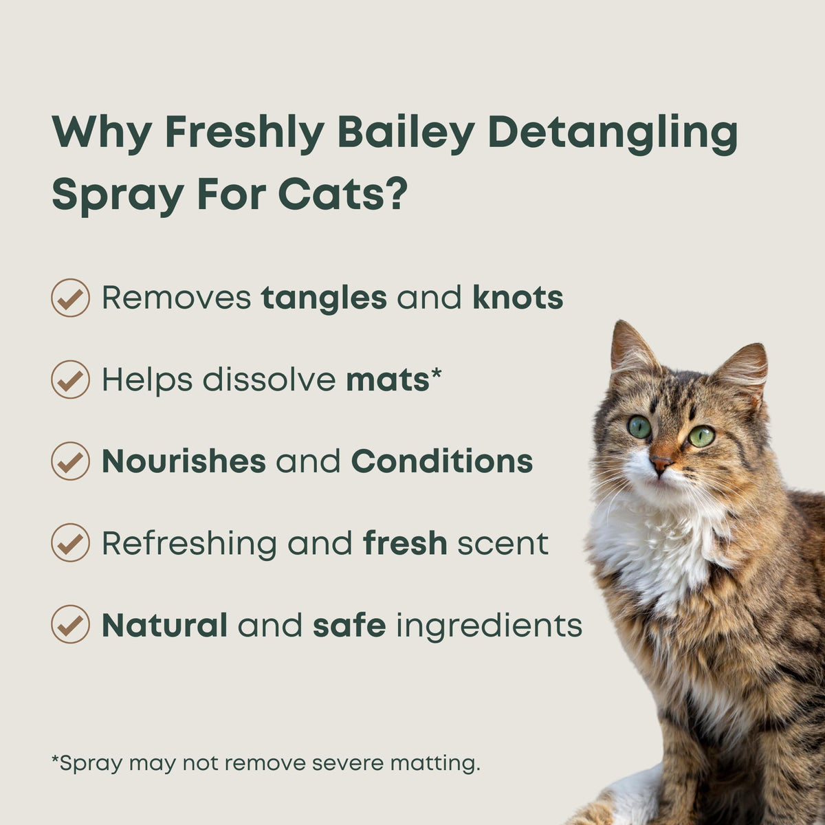 Freshly Bailey Detangling Spray Conditioner for cats removes tangles and nourishes. 100% Authentic, available at Curat Cart.