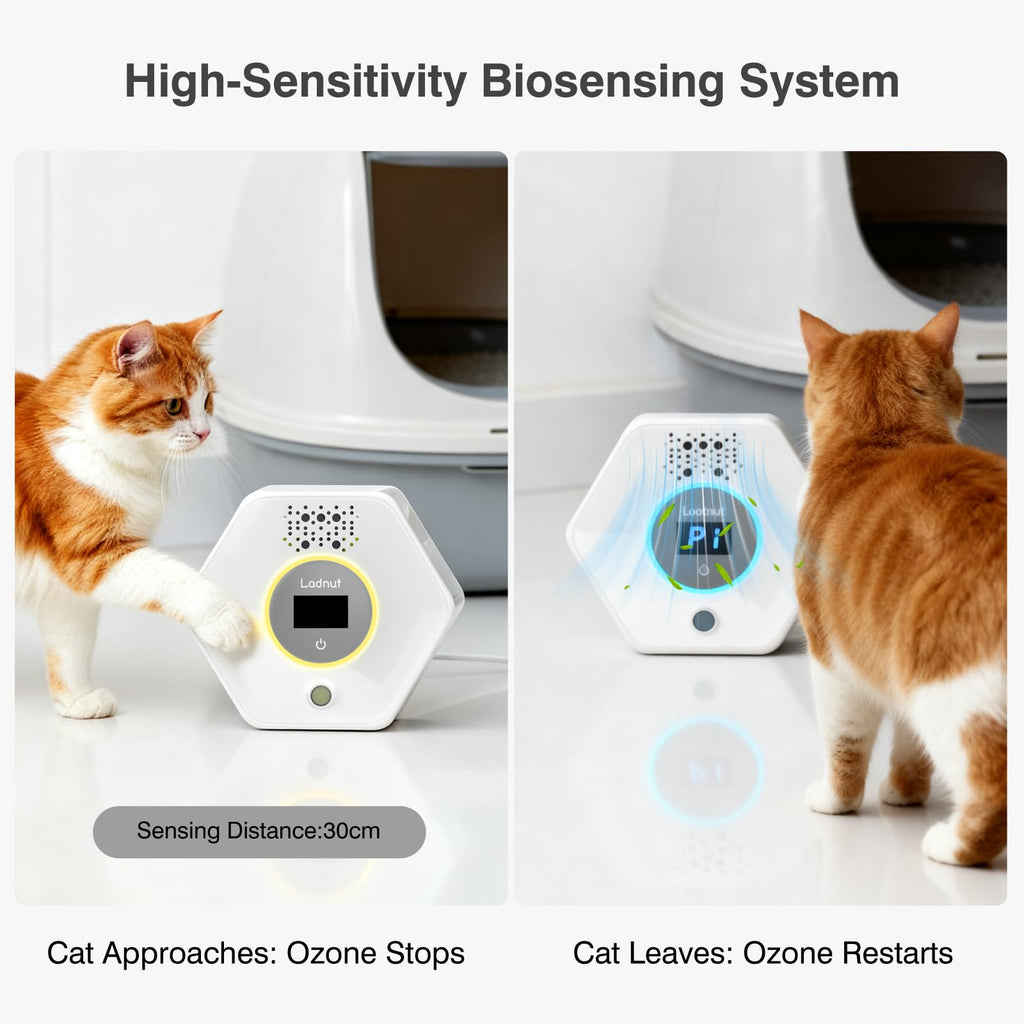 Discover the Cat Litter Odor Deodorizer, specially curated by Curat Cart for effective odor control in your home.