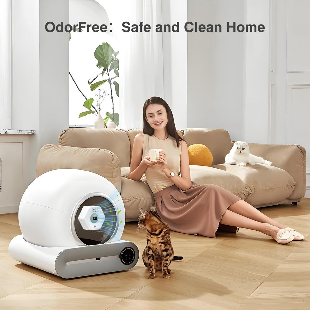 Experience a premium imported Cat Litter Odor Deodorizer for a clean home. Curat Cart offers this international favorite for your pet.