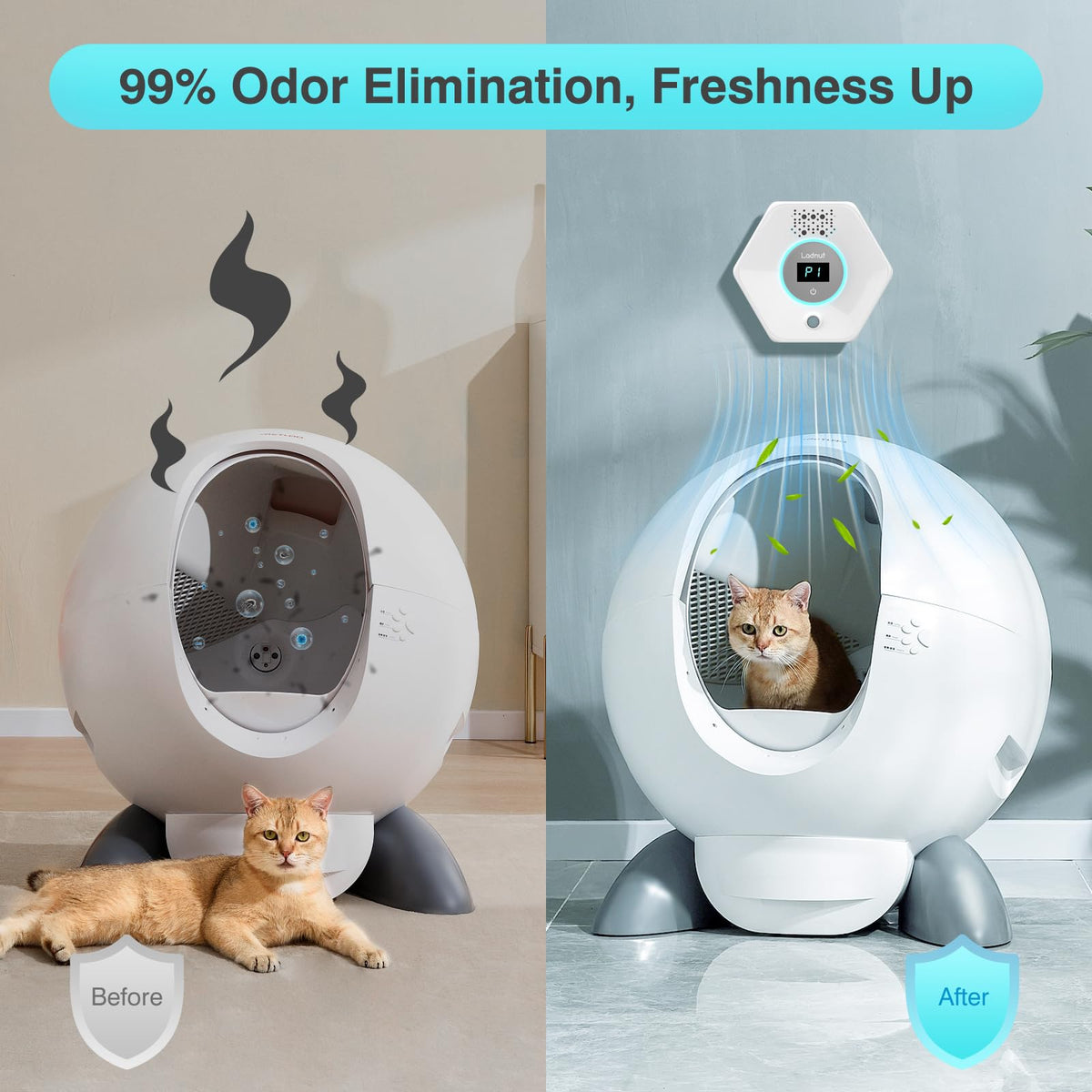 Experience 99% odor elimination with our Cat Litter Odor Deodorizer, 100% Authentic and available at Curat Cart in India.