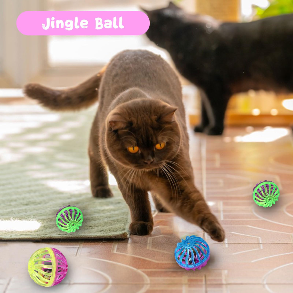 Colorful jingle balls for indoor cats displayed on a sunny floor, enhancing playtime. Available at Curat Cart.