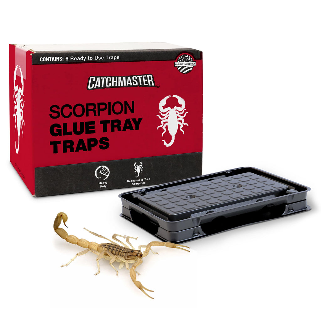 Catchmaster Scorpion Glue Traps, premium imported pest control solution, available at Curat Cart for effective scorpion capture.