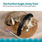 The Catstages Scratch & Groom Cat Scratcher offers a unique grooming experience, perfect for daily use. Available at Curat Cart.