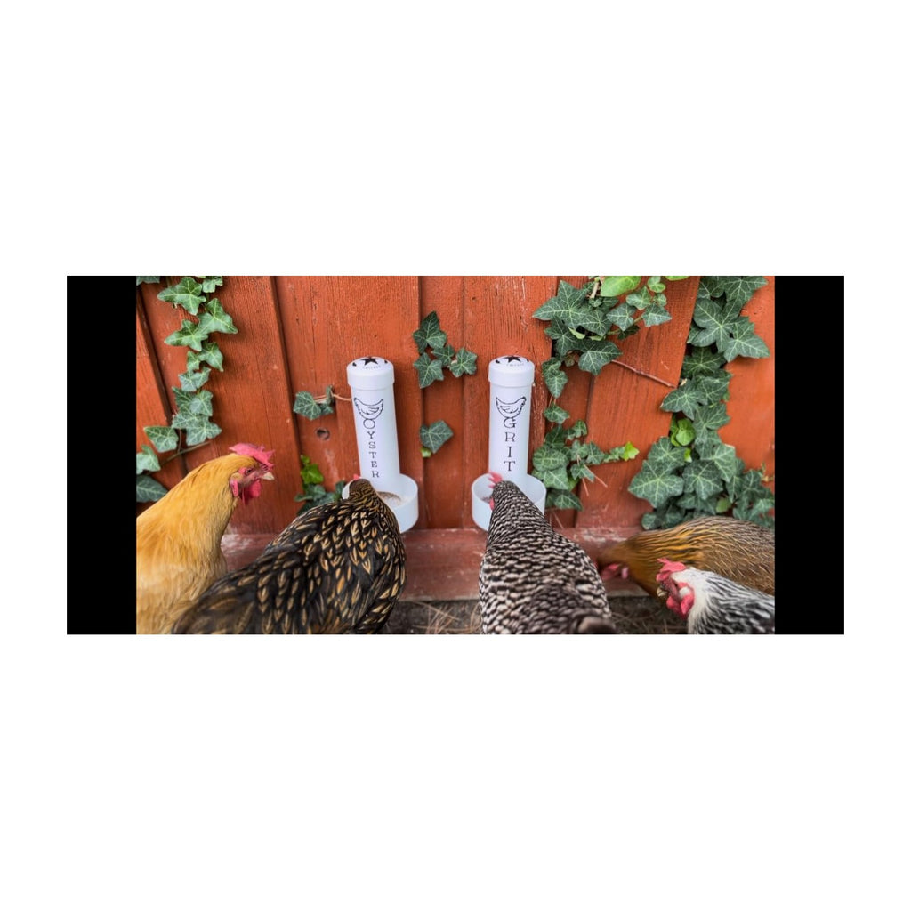 Premium Chicken Oyster Shell Feeder Combo from Curat Cart, designed for optimal poultry nutrition. Specially curated for discerning farmers.