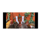 Premium Chicken Oyster Shell Feeder Combo from Curat Cart, designed for optimal poultry nutrition. Specially curated for discerning farmers.