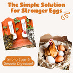 Boost egg production with the Chicken Oyster Shell Feeder Combo, ensuring strong eggs and smooth digestion. Available at Curat Cart.