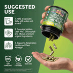 Premium imported Clean Nutra Mullein Leaf Extract capsules support respiratory health and clear airways. Available at Curat Cart.