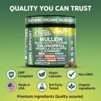 Clean Nutra Mullein Leaf Extract in high-quality official packaging, ensuring organic ingredients and premium quality. Available at Curat Cart.