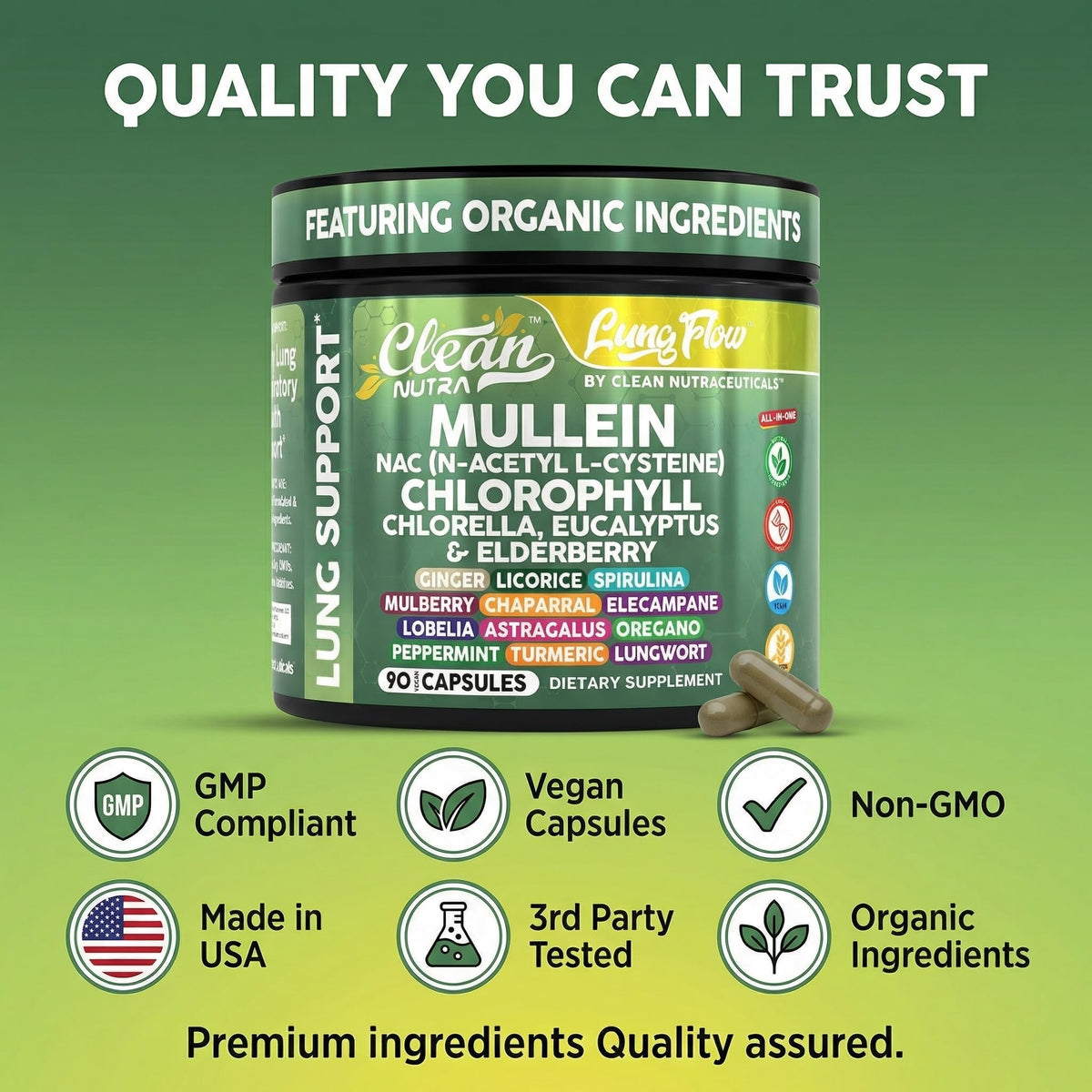 Clean Nutra Mullein Leaf Extract in high-quality official packaging, ensuring organic ingredients and premium quality. Available at Curat Cart.