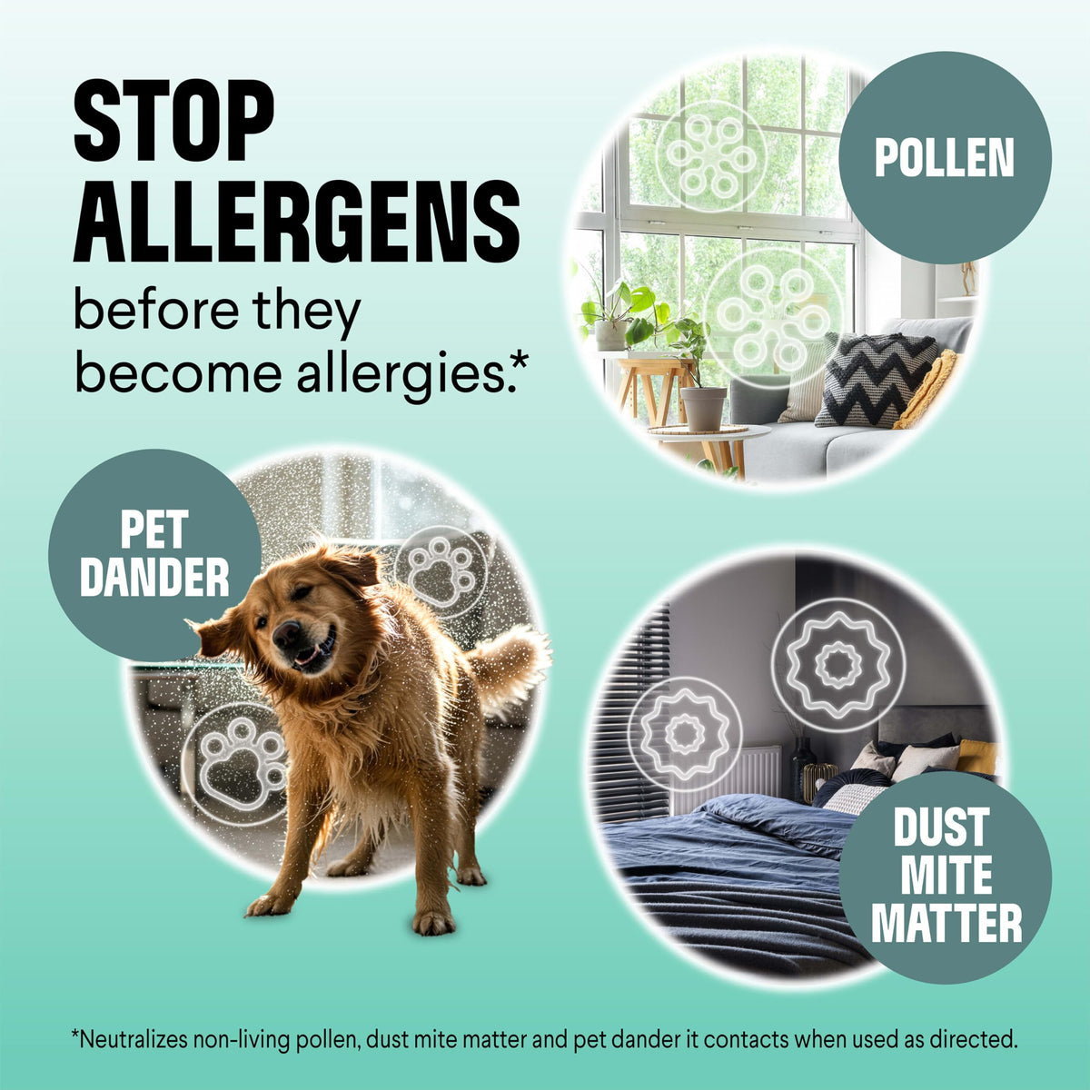 Premium imported Clorox PURE Allergen Neutralizer effectively targets pollen, pet dander, and dust mites.
