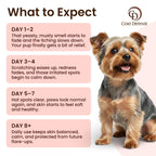 Achieve optimal skin health for your pet with COAT DEFENSE Paw Licker Bundle. Perfect for daily use, available at Curat Cart.