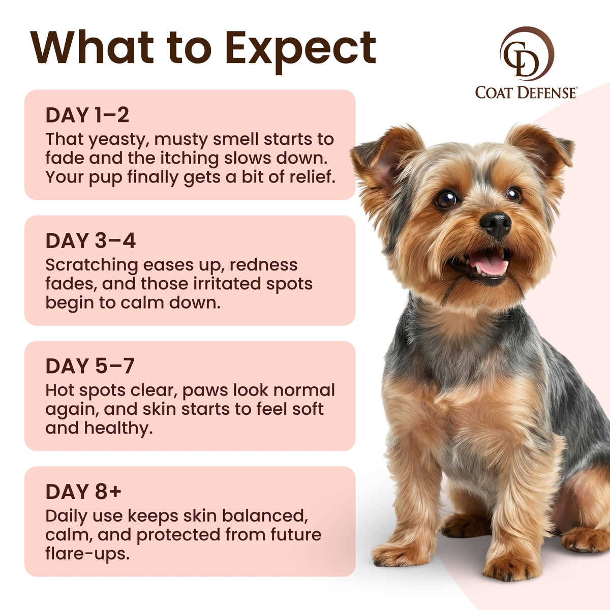 Achieve optimal skin health for your pet with COAT DEFENSE Paw Licker Bundle. Perfect for daily use, available at Curat Cart.