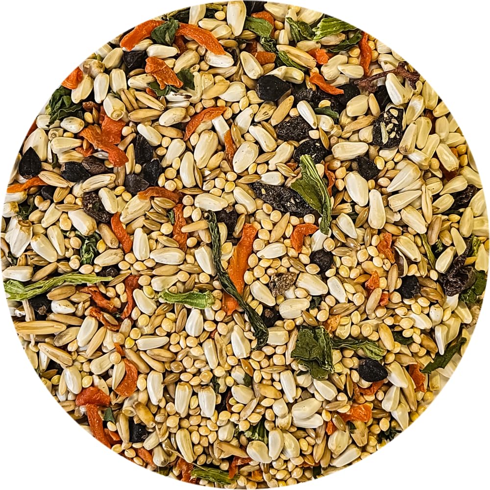 High-quality Cockatiel Bird Food Seed Mix featuring an array of seeds and nutrients. Premium imported selection available at Curat Cart.
