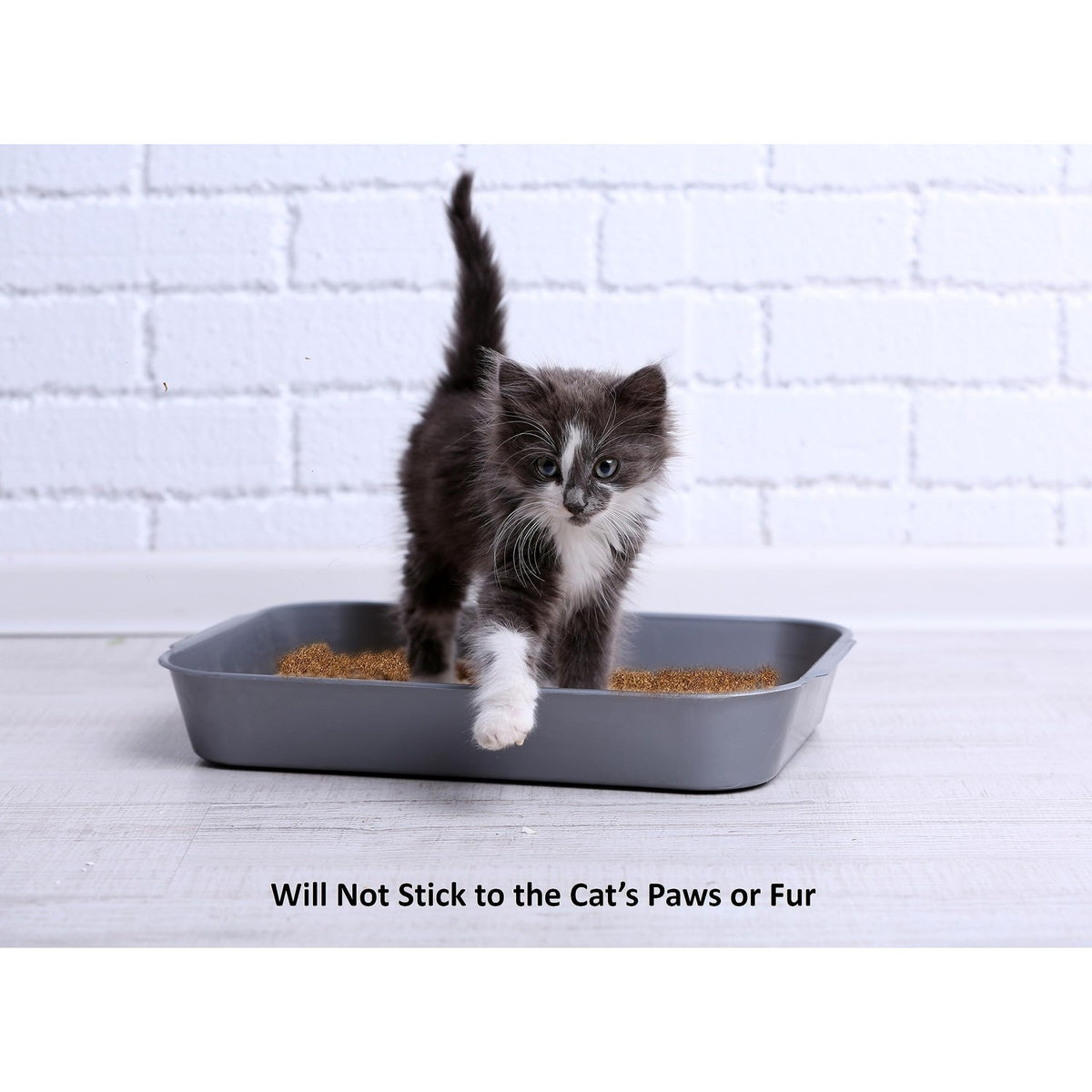 Coir Wonder Cat Litter Deodorizer, specially curated by Curat Cart, ensures no sticking to cat's paws or fur.