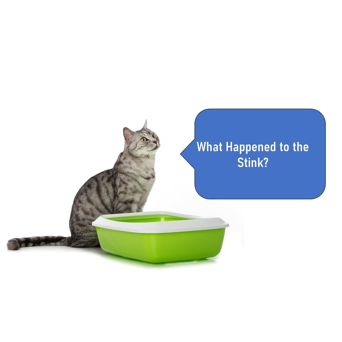 Coir Wonder Cat Litter Deodorizer effectively eliminates odors, making it perfect for daily use. Available at Curat Cart.