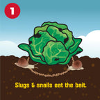 Corry's Slug and Snail Killer effectively attracts pests with high-quality bait, ensuring a pest-free garden at Curat Cart.