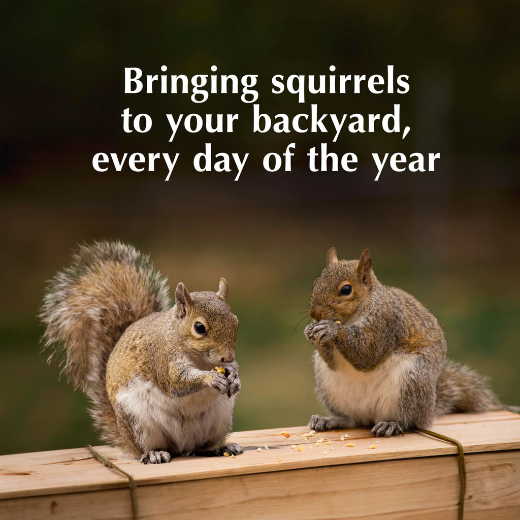C&S Sweet Corn Squirrelog Refill, specially curated by Curat Cart, attracts squirrels to your backyard all year round.