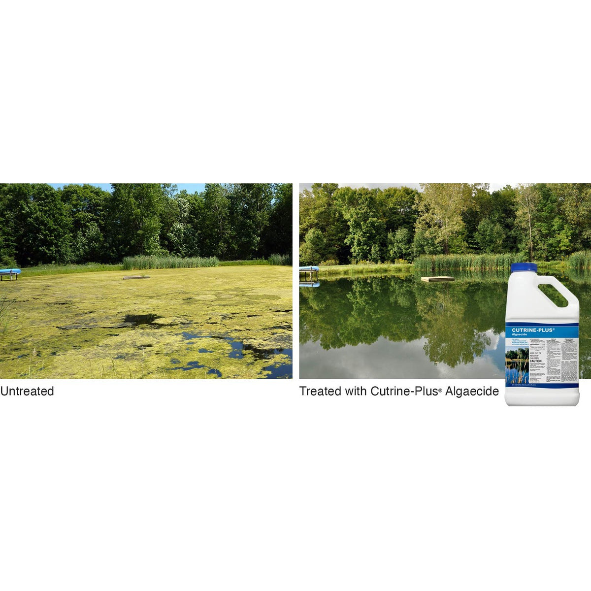 Transform your water body with Cutrine-Plus Algaecide, 100% Authentic and available in India at Curat Cart.