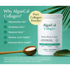 ALGAECAL Collagen Peptides, FORTIBONE®, FORTIGEL®, VERISOL®, UC-II® 1 Pack | 4 clinically supported collagen powders for stronger bones, healthier joints, smoother skin, thicker hair and tougher nails.