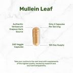 Premium Mullein Leaf Extract capsules in official packaging, featuring 240 veggie capsules for a 120-day supply from Curat Cart.