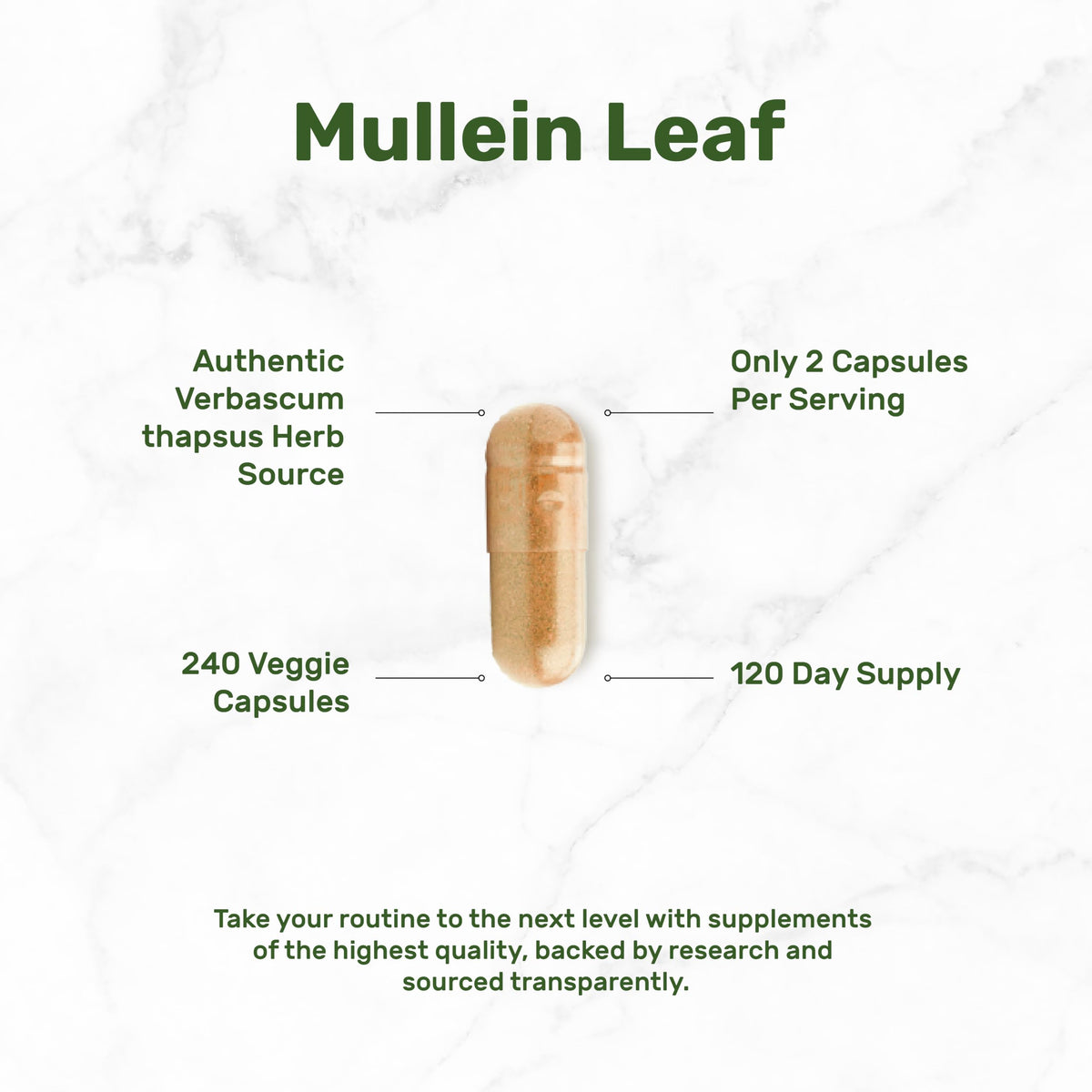 Premium Mullein Leaf Extract capsules in official packaging, featuring 240 veggie capsules for a 120-day supply from Curat Cart.