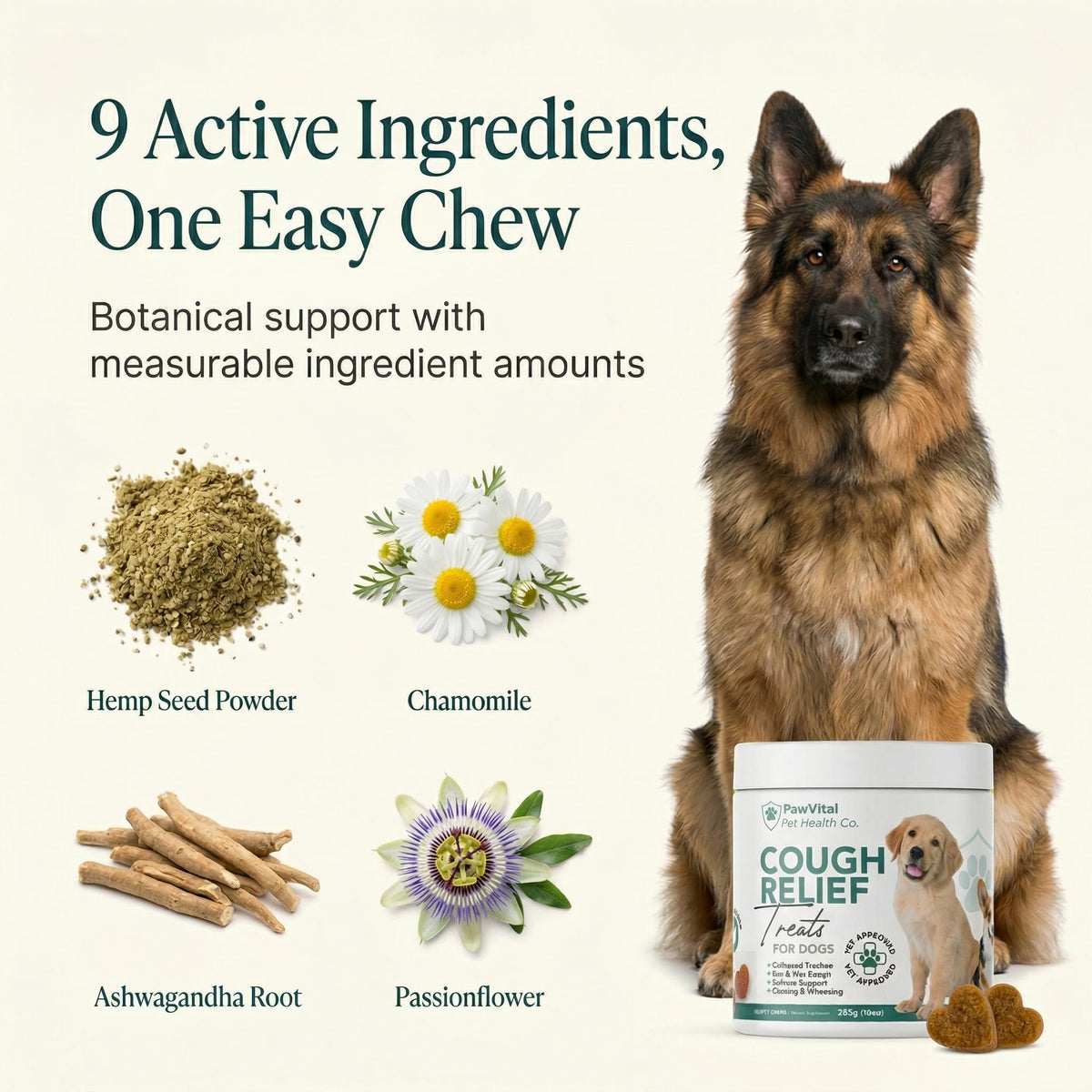 Natural Dog Cough Medicine with 9 active ingredients, specially curated by Curat Cart for effective canine cough relief.
