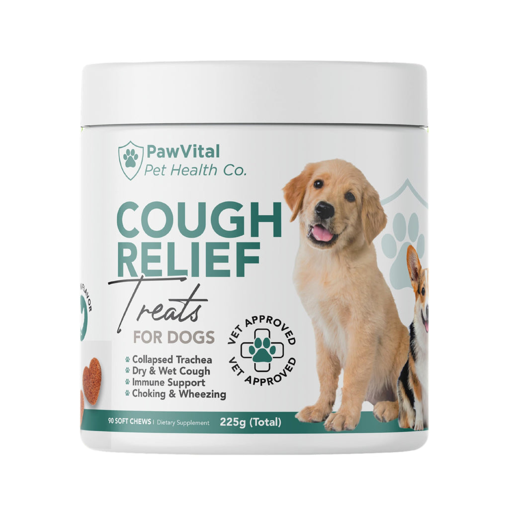 Natural Dog Cough Medicine from PawVital offers premium imported cough relief treats for dogs, ensuring vet-approved immune support. Available at Curat Cart.