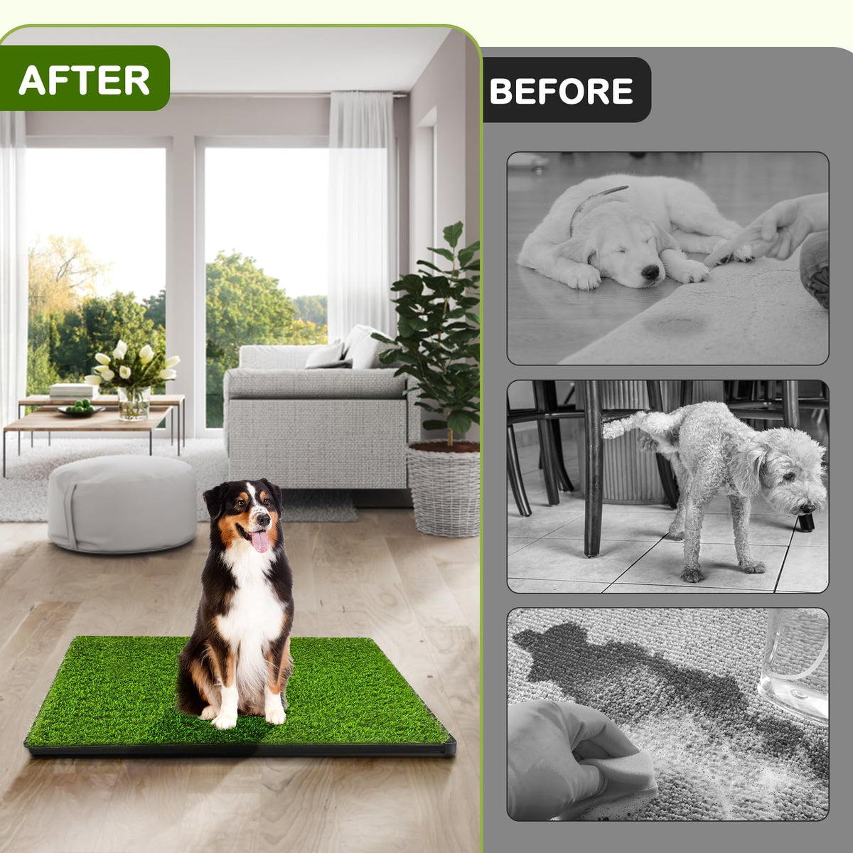Dog Grass Pad with Tray offers a clean solution for pet owners. 100% Authentic, available in India at Curat Cart.