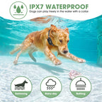 Enhance training with the Dog Training Collar with Remote, perfect for daily use in water activities. Available at Curat Cart.