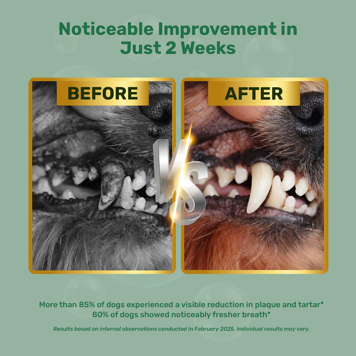 Transform your dog's dental health with Dogbiotics Dog Dental Powder, 100% Authentic and available at Curat Cart in India.
