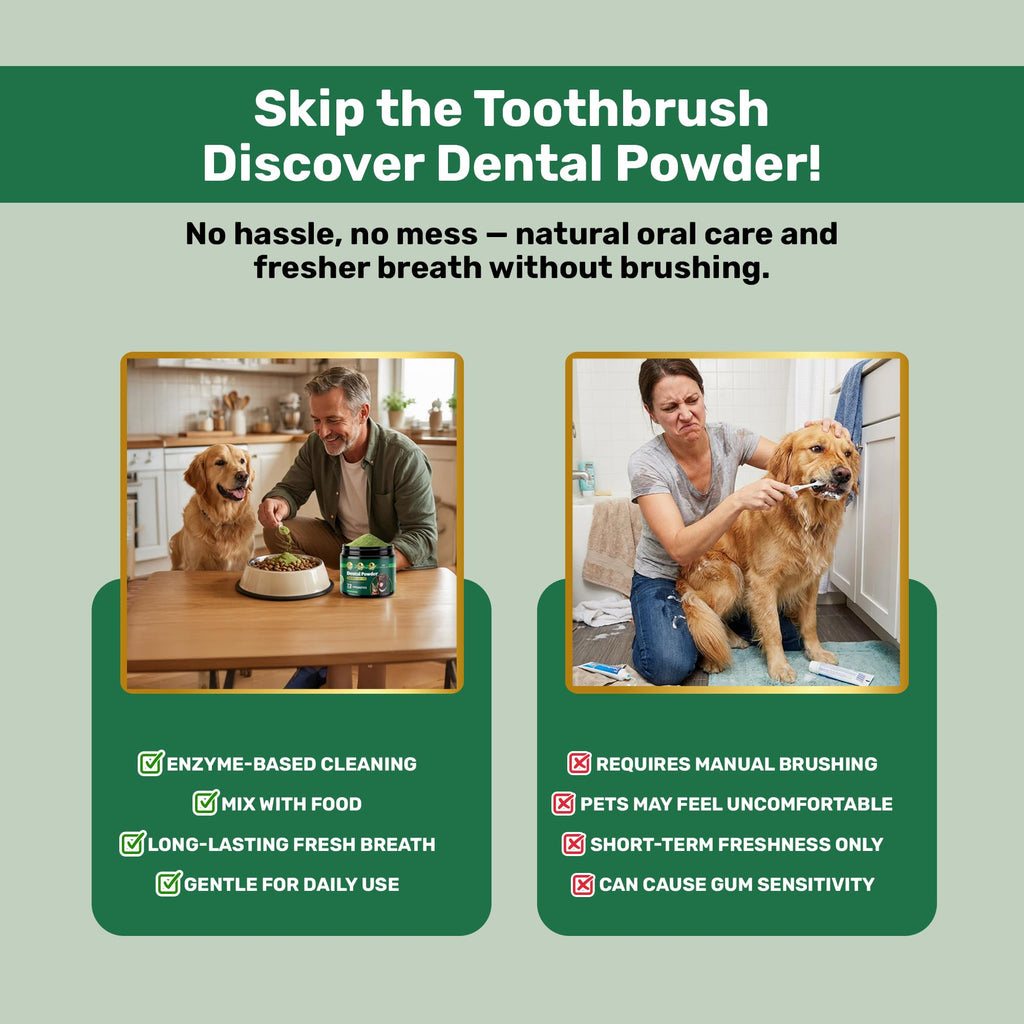Dogbiotics Dog Dental Powder offers premium imported oral care for pets, ensuring fresh breath without brushing. Available at Curat Cart.