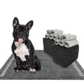 Discover Dogcator Charcoal Dog Training Pads, a premium import ideal for effective pet training. Available at Curat Cart.