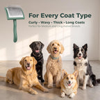 Doodle Slicker Brush for Dogs, ideal for all coat types, available at Curat Cart, 100% Authentic in India.
