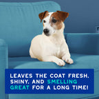 Douxo Spa Dog Deodorizing Spray enhances your pet's freshness and shine. Official packaging available at Curat Cart.