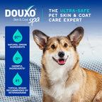 Douxo Spa Dog Deodorizing Spray is perfect for daily use, ensuring your pet stays fresh and clean. Available at Curat Cart.