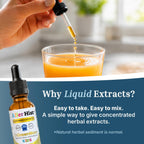 Dr. Green Mom Aller Hist Kids Support offers a simple way to give concentrated herbal extracts. Specially curated by Curat Cart.