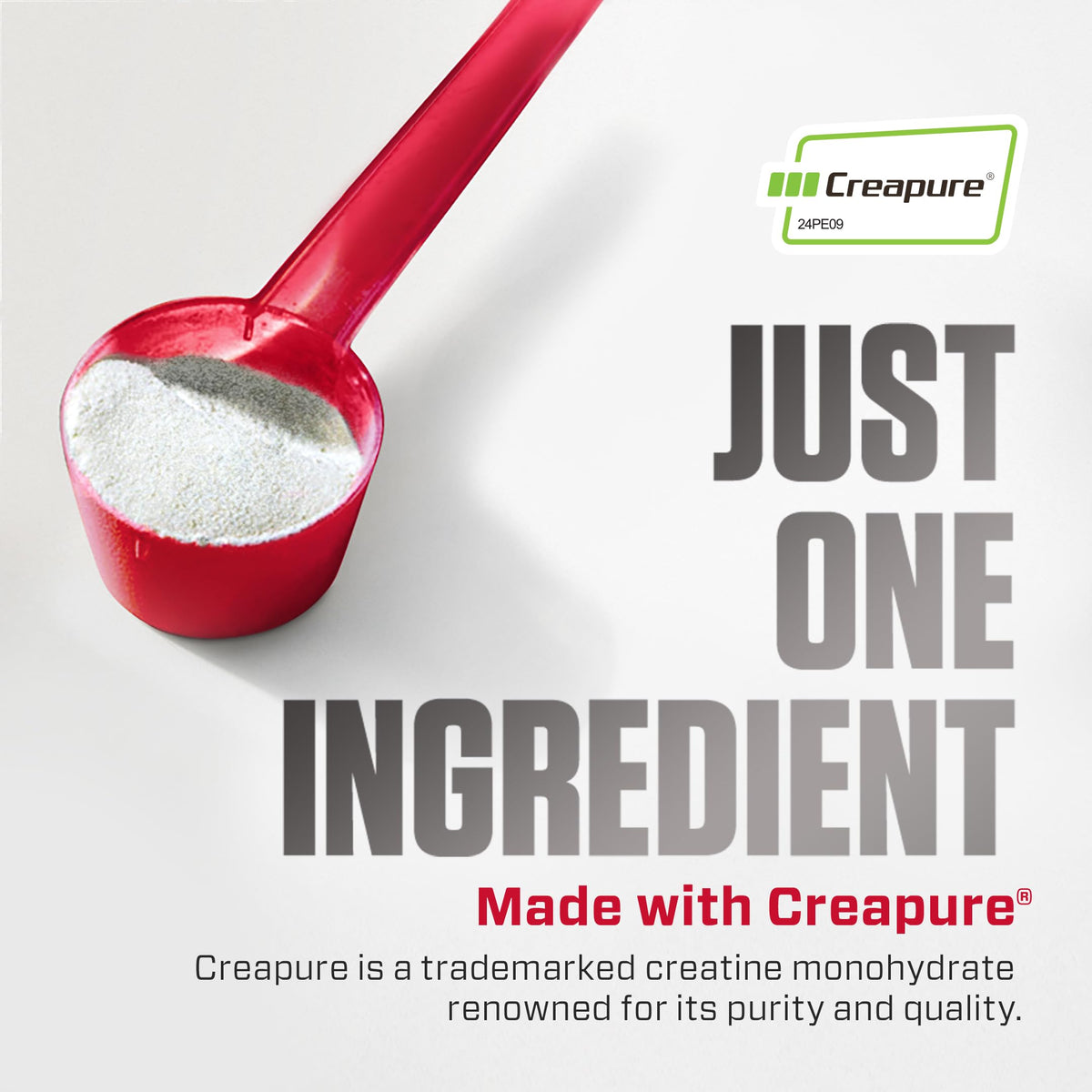Premium imported Dymatize Creatine Monohydrate Powder, featuring pure Creapure® for optimal performance and quality.