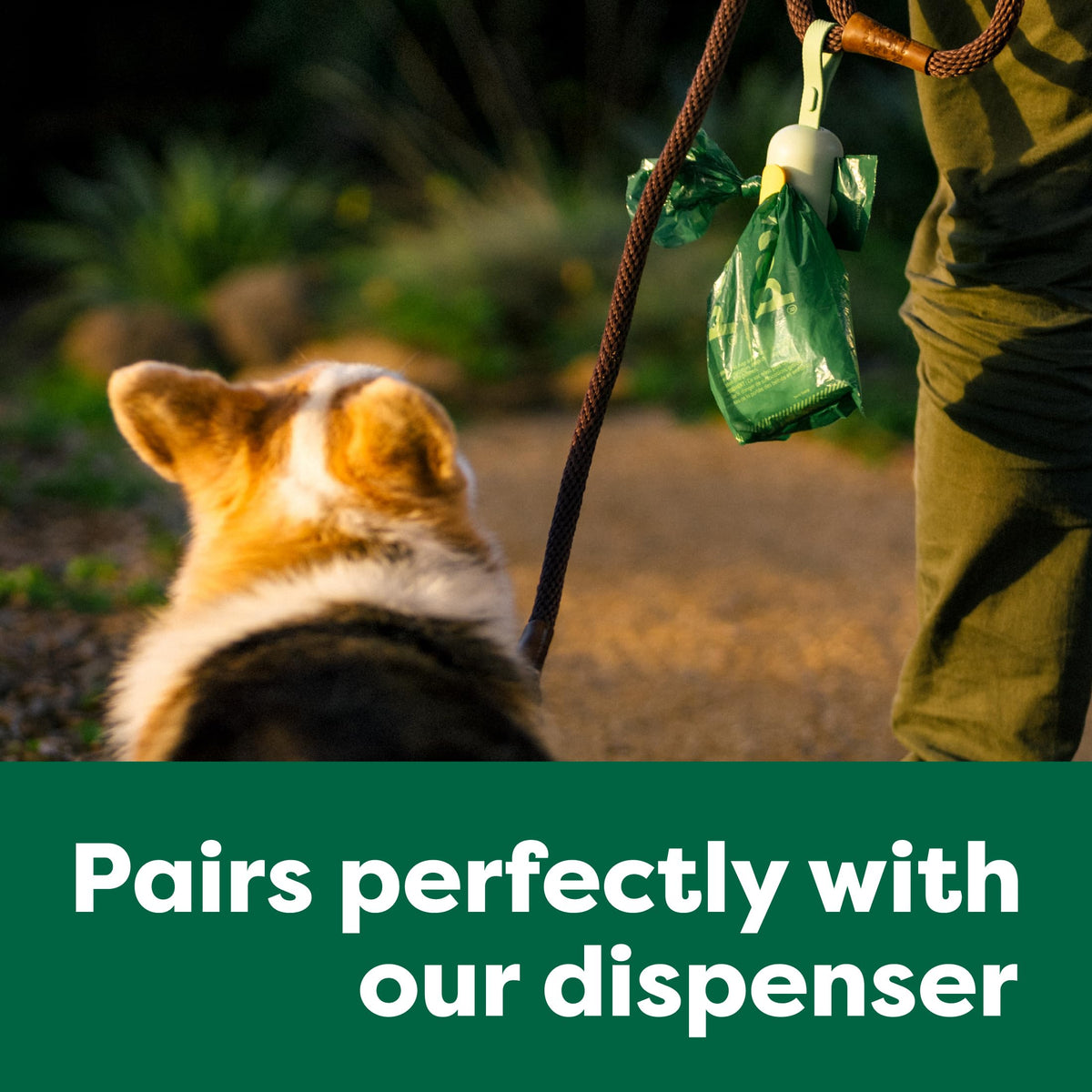 Earth Rated Dog Poop Bags showcased in use, specially curated by Curat Cart for eco-friendly pet care. Perfect for dog owners.