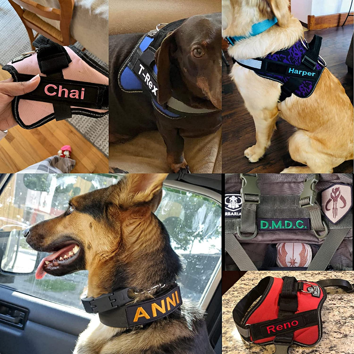 Custom Personalized Military Name Patches showcased on various dog harnesses, exclusively at Curat Cart for unique pet styling.