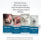 Emmeliestella Small Dog Cat Toothbrush presented in official packaging, promoting dental health to reduce periodontal disease risks. Available at Curat Cart.