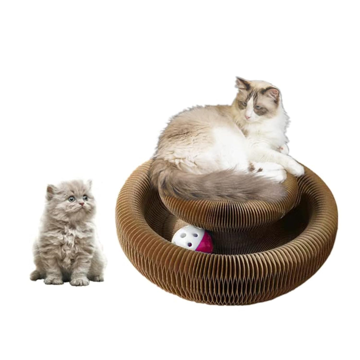 Discover the Enkman Kitty Kurlz Cat Scratcher, a premium import perfect for playful cats, available at Curat Cart.