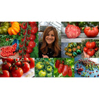 Espoma Organic Tomato Plant Food enhances growth for vibrant tomatoes. Perfect for your garden needs from Curat Cart.