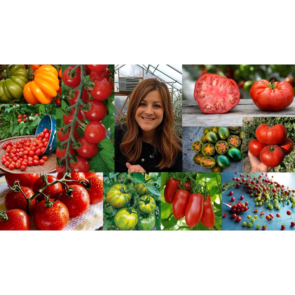 Espoma Organic Tomato Plant Food enhances growth for vibrant tomatoes. Perfect for your garden needs from Curat Cart.