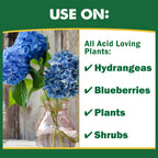 Enhance acid-loving plants like hydrangeas and blueberries with Espoma Organic Soil Acidifier, exclusively at Curat Cart.