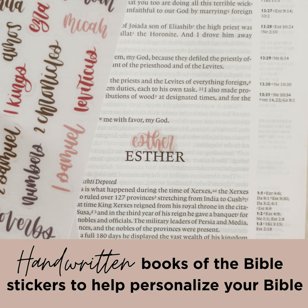 Enhance your Bible study with the Esther Bible Journaling Kit from Curat Cart, featuring personalized handwritten stickers. Perfect for daily use.