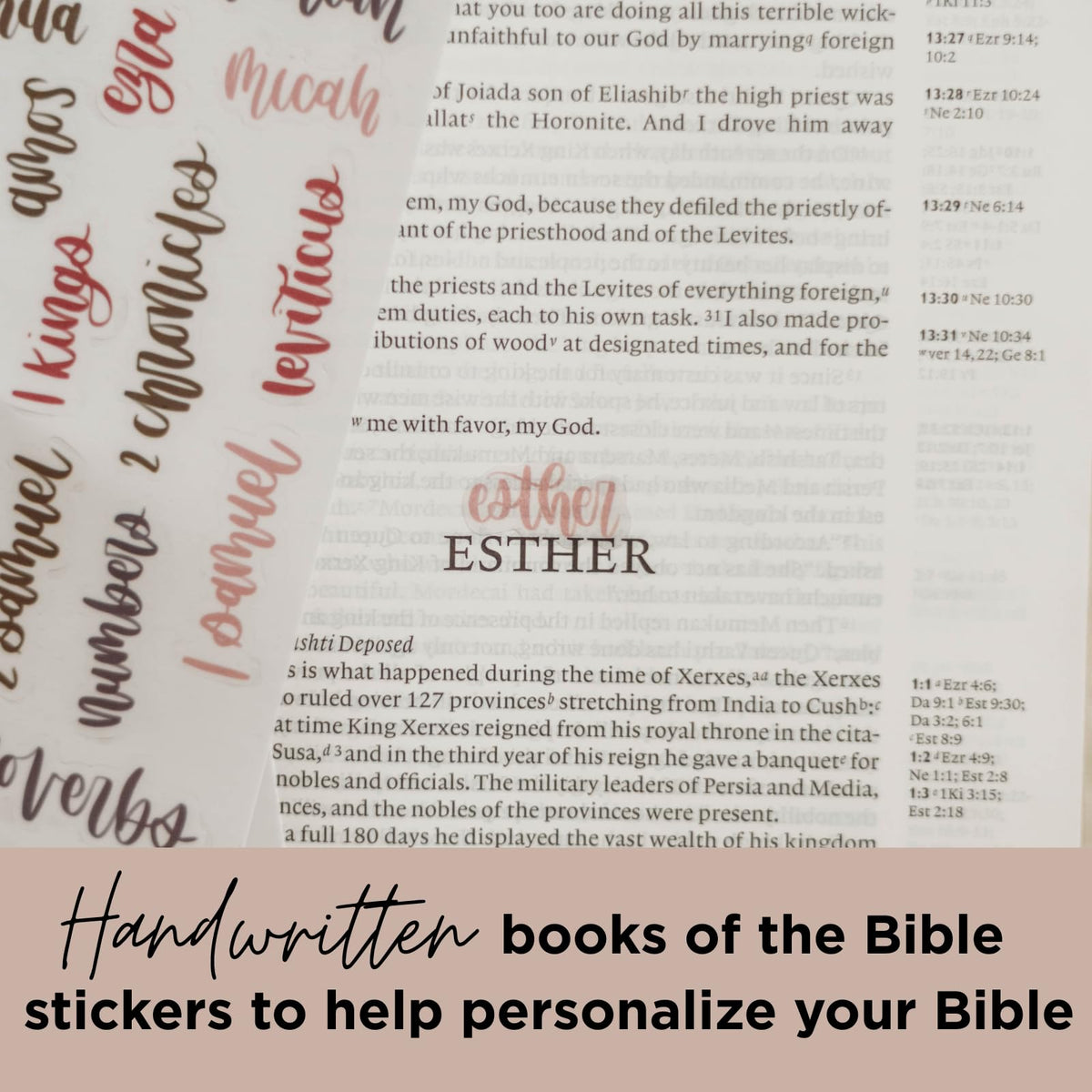 Enhance your Bible study with the Esther Bible Journaling Kit from Curat Cart, featuring personalized handwritten stickers. Perfect for daily use.