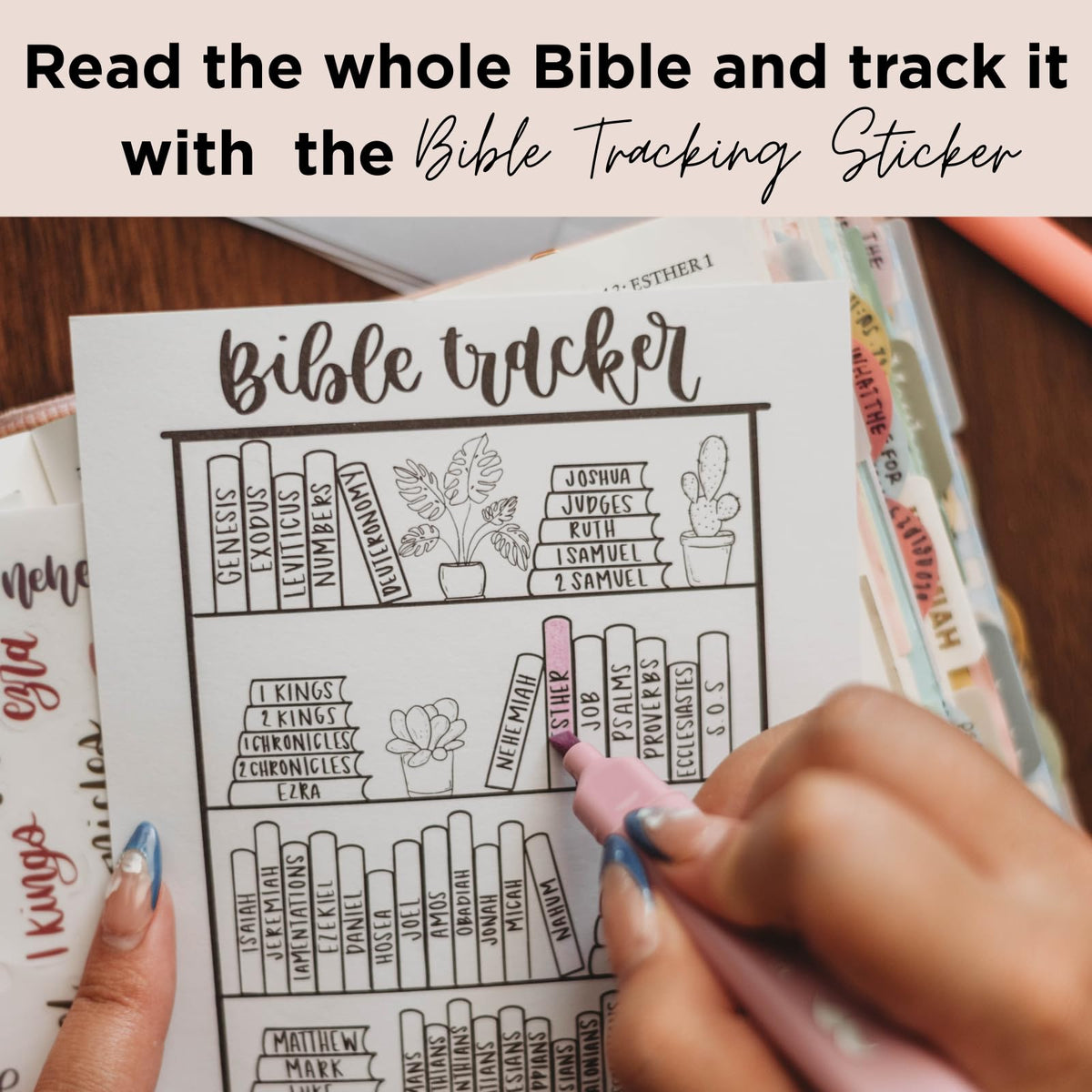 Enhance your Bible study with the Esther Bible Journaling Kit, 100% Authentic and available at Curat Cart in India.