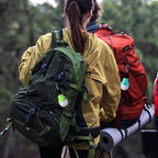 Discover EverBrite LED Camping Lights, a premium import ideal for outdoor adventures. Available at Curat Cart.