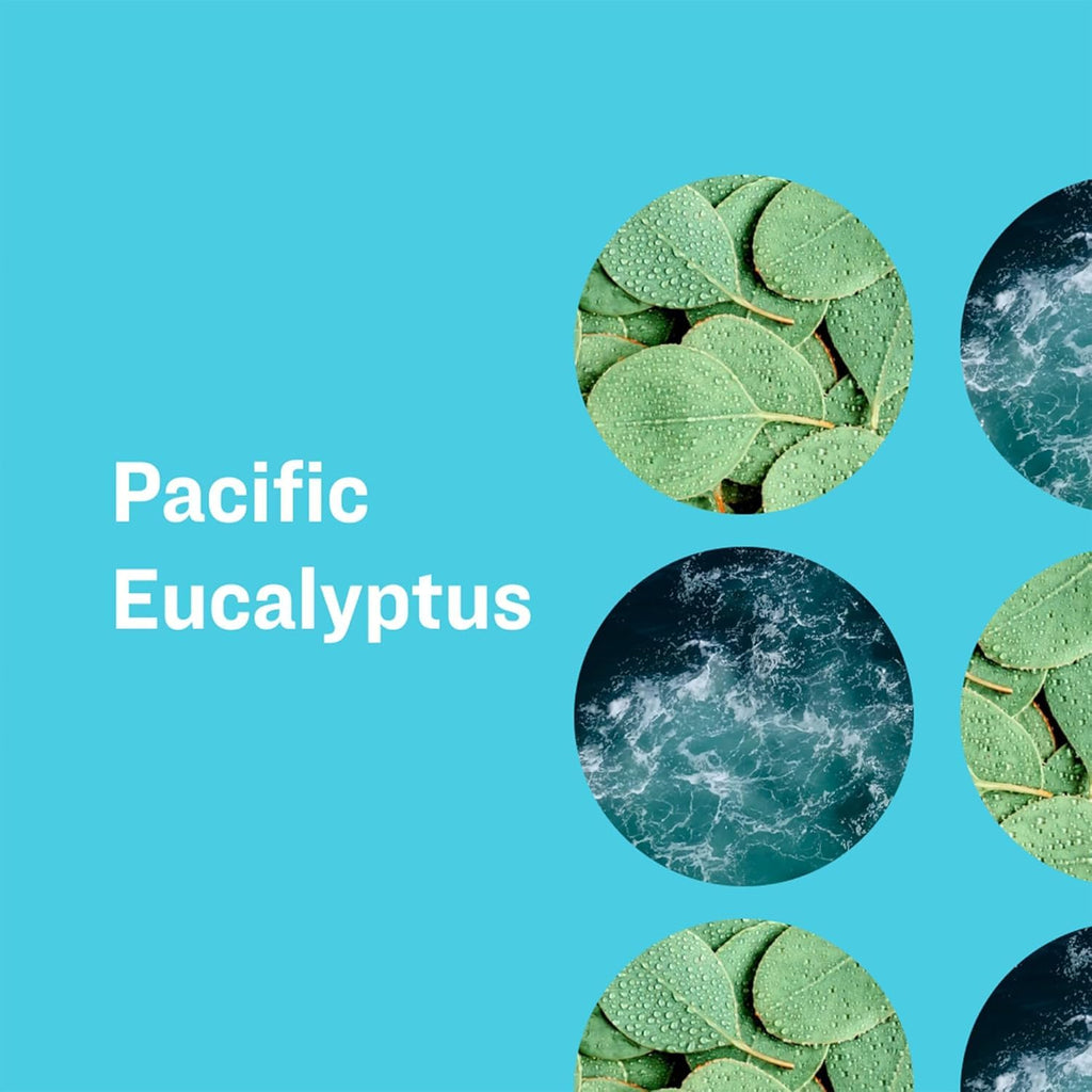 Discover Everyone Liquid Hand Soap in Pacific Eucalyptus, specially curated by Curat Cart for a refreshing clean experience.