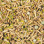 Evolved Harvest Food Plot Seed features a premium blend of high-quality seeds, perfect for enhancing your food plots. Available at Curat Cart.